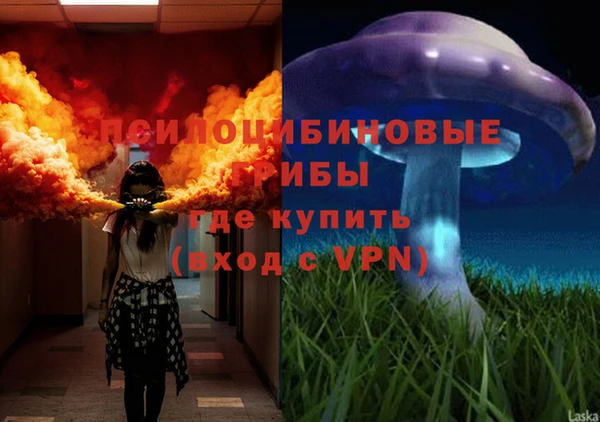 спайс Алексин