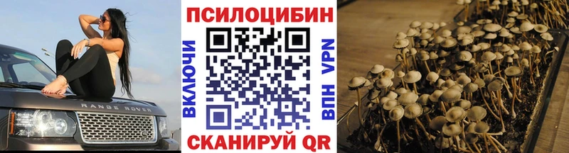 Псилоцибиновые грибы MAGIC MUSHROOMS  это Telegram  Апрелевка 