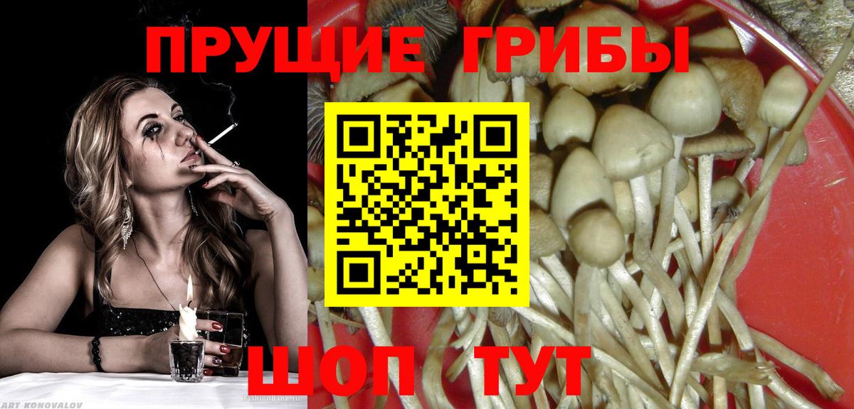 Апрелевка  Псилоцибиновые грибы прущие грибы  Вход с VPN 