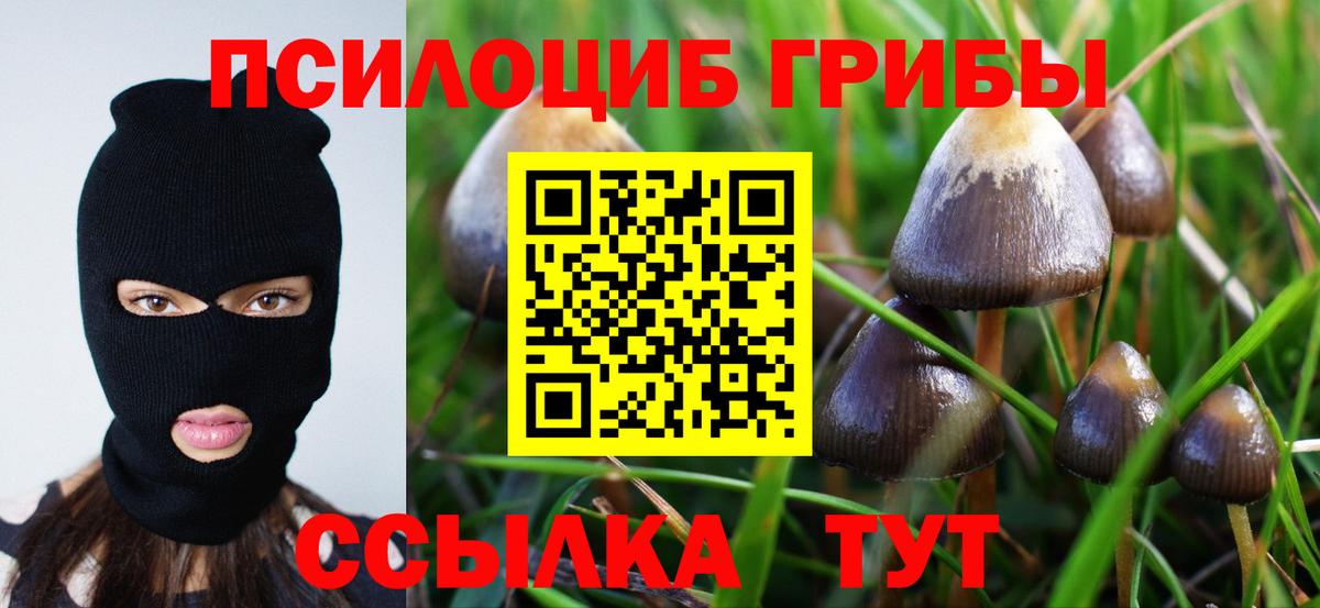 Галлюциногенные грибы MAGIC MUSHROOMS Апрелевка