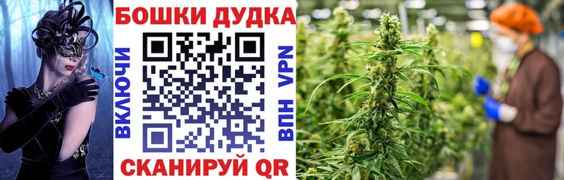 Конопля планчик  цена наркотик  кракен онион  Апрелевка 